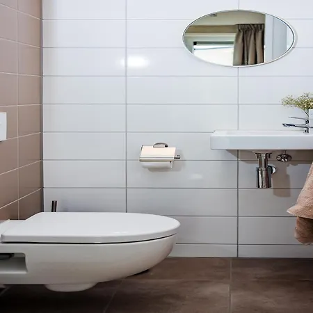 Vakantiehuis Comfort With Sauna *