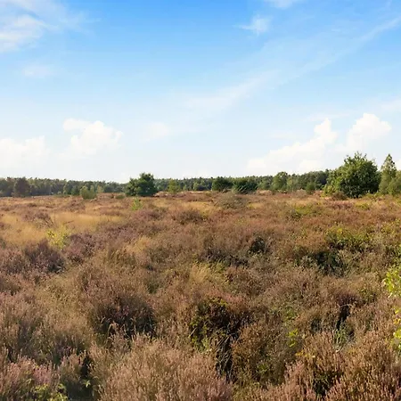 Vakantiehuis In With Garden Voorthuizen