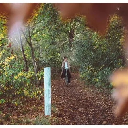 Comfort With Sauna Vakantiehuis *