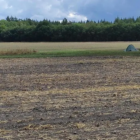 Comfort With Sauna * Voorthuizen