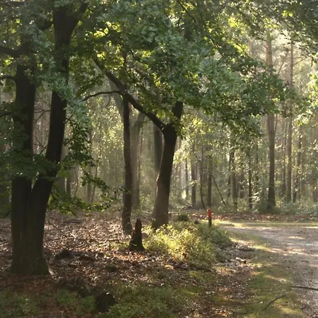 Comfort With Sauna Vakantiehuis