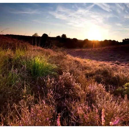 Comfort With Sauna Vakantiehuis Voorthuizen