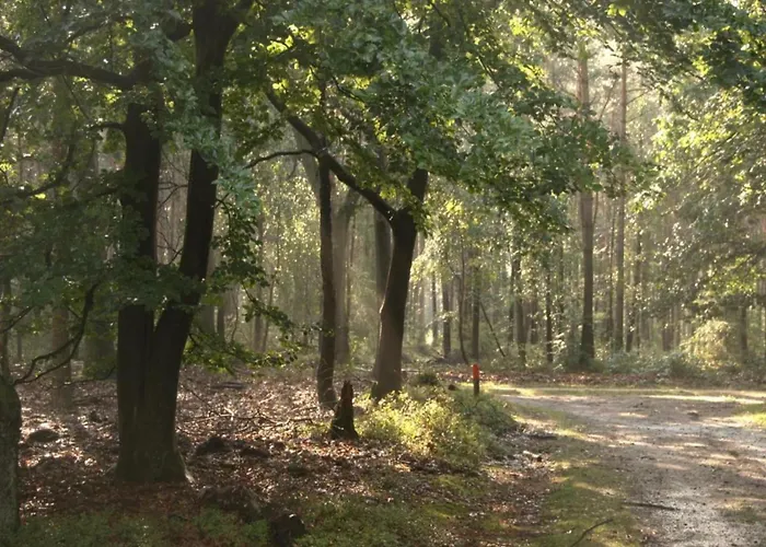 Comfort With Sauna Casa de Férias