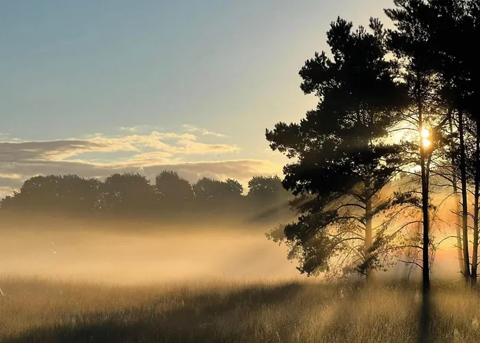 Comfort With Sauna Casa de Férias
