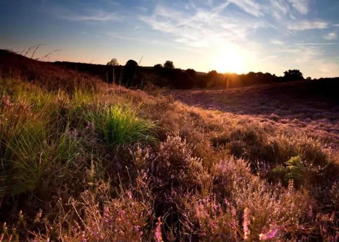 Comfort With Sauna Casa de Férias Voorthuizen