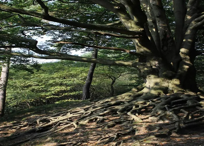 Casa de Férias Comfort With Sauna Voorthuizen